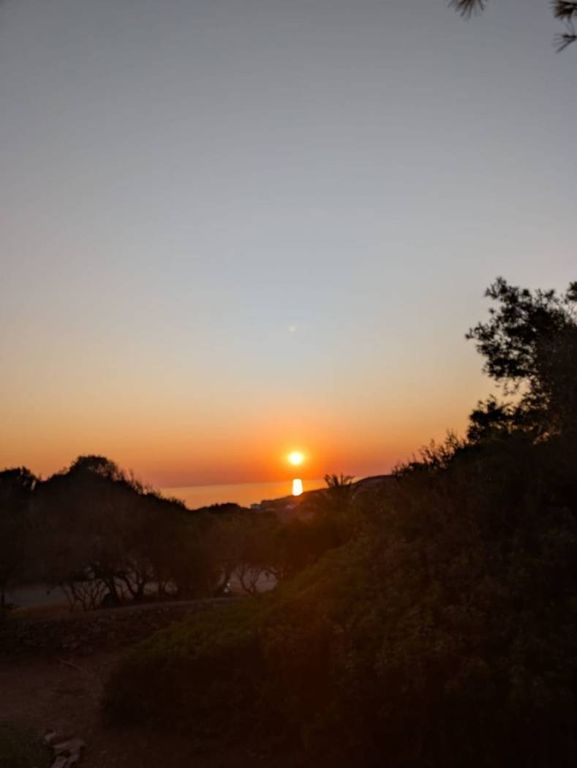 5 room luxury Villa for sale in SP102, Carloforte, Sardinia - View 6