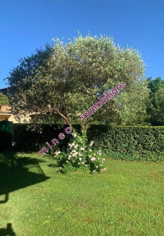 Apartment in Pietrasanta - Vista 6