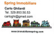 Immobiliare Spring