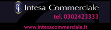 Intesa Commerciale