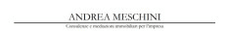 Andrea Meschini Ditta Individuale