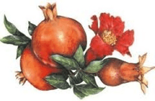 Il Melograno Immobiliare