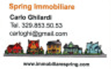 Immobiliare Spring