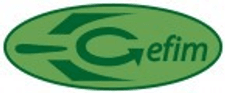 GEFIM sas