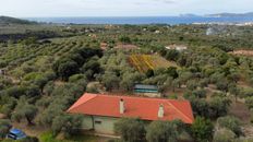 Villa in vendita a Alghero Sardegna Sassari