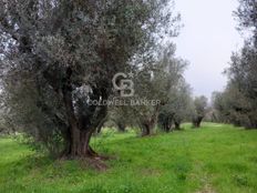 Podere di 100000 mq in vendita - Strada Provinciale Norchia, Vetralla, Viterbo, Lazio