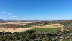 Lussuoso casale in affitto Strada Provinciale del Padule, Castiglione della Pescaia, Toscana