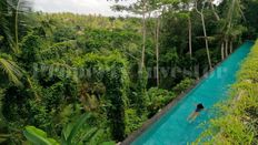 Hotel di lusso di 2210 mq in vendita Ubud, Indonesia