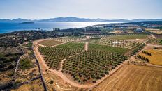 Terreno in vendita - Voutakos, Páros, Cicladi, Egeo Meridionale
