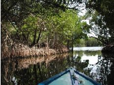 Terreno di 4500 mq in vendita - punta arena, Isla Mujeres, Quintana Roo