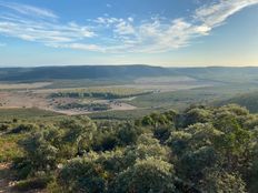 Podere di 1500 mq in vendita - Herrera del Duque, Ciudad Real, Castilla-La Mancha