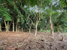 Terreno in vendita - Arue, Polinesia francese