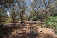 Terreno in vendita a Campos Isole Baleari Isole Baleari