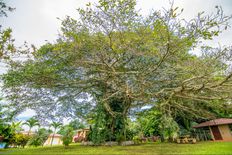 Casa di prestigio in vendita San Mateo, Costa Rica