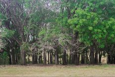 Terreno di 200 mq in vendita - Alajuela, Provincia de Alajuela