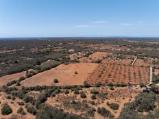 Terreno in vendita a Campos Isole Baleari Isole Baleari