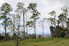 Terreno di 2500 mq in vendita - San Isidro de Coronado, Costa Rica