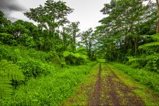 Terreno - San Carlos, Costa Rica