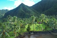 Terreno di 7994 mq - Teahupoo, Polinesia francese