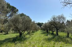 Casa Unifamiliare in vendita a Arles Provenza-Alpi-Costa Azzurra Bocche del Rodano