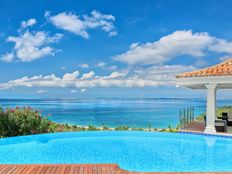 Villa in rent/daily a Saint Martin  