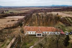 Casa Indipendente di 1300 mq in vendita Drauț, Arad