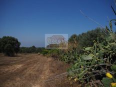 Terreno in vendita a Grândola Distrito de Setúbal Grândola