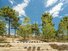 Terreno in vendita a Grândola Distrito de Setúbal Grândola