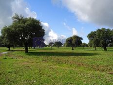 Prestigioso casale in vendita Navalmoral de la Mata, Extremadura