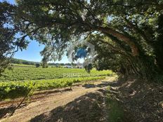 Terreno - Aldeia da Piedade, Setúbal, Distrito de Setúbal