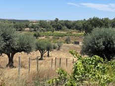 Fattoria in vendita a Ribeira de Nisa Distrito de Portalegre Portalegre