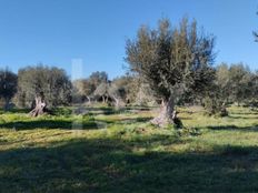 Terreno in vendita a Grândola Distrito de Setúbal Grândola