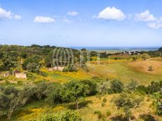 Terreno in vendita a Grândola Distrito de Setúbal Grândola