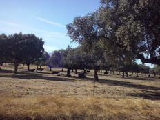 Rustico o Casale in vendita a Coria Extremadura Provincia de Cáceres