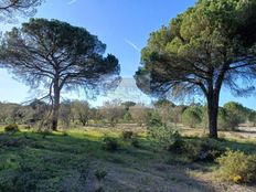 Terreno in vendita a Grândola Distrito de Setúbal Grândola