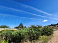 Terreno di 59000 mq in vendita - Cavernaes, Viseu, Distrito de Viseu