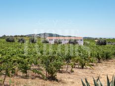 Casa di lusso in vendita Vila de Frades, Vidigueira, Distrito de Beja