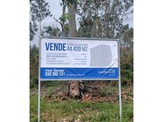 Terreno di 44420 mq in vendita - Casal Galego, Marinha Grande, Distrito de Leiria