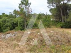 Terreno di 5792 mq - Carvalhais de Baixo, Coimbra, Distrito de Coimbra