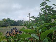 Terreno in vendita a Oeiras Lisbona Oeiras