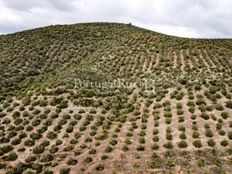 Terreno in vendita a Serpa Distrito de Beja Serpa