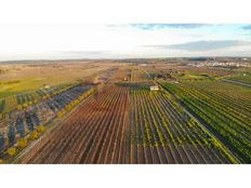 Terreno in vendita - Reguengos de Monsaraz, Distrito de Évora