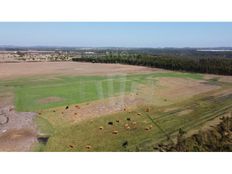 Podere in vendita - Odemira, Distrito de Beja