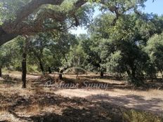 Terreno in vendita a Grândola Distrito de Setúbal Grândola