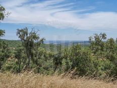 Fattoria in vendita a Grândola Distrito de Setúbal Grândola