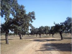 Villa in vendita Aliseda, Extremadura