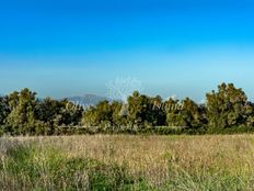 Terreno in vendita - Algaida, Spagna