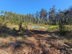 Terreno in vendita - Ponta do Sol, Portogallo