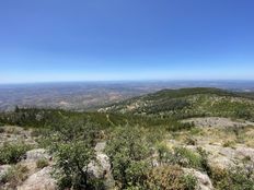 Terreno - Picota, Monchique, Distrito de Faro