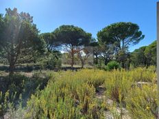 Terreno in vendita a Grândola Distrito de Setúbal Grândola